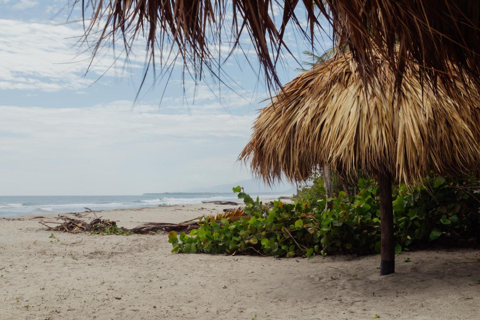 Solea Villa Tropical Santa Marta  Bagian luar foto
