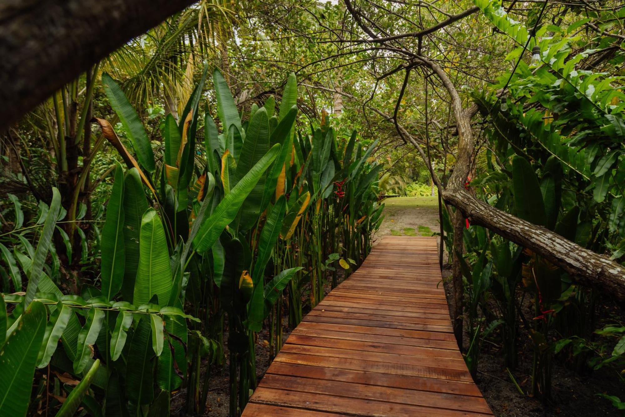 Solea Villa Tropical Santa Marta  Bagian luar foto