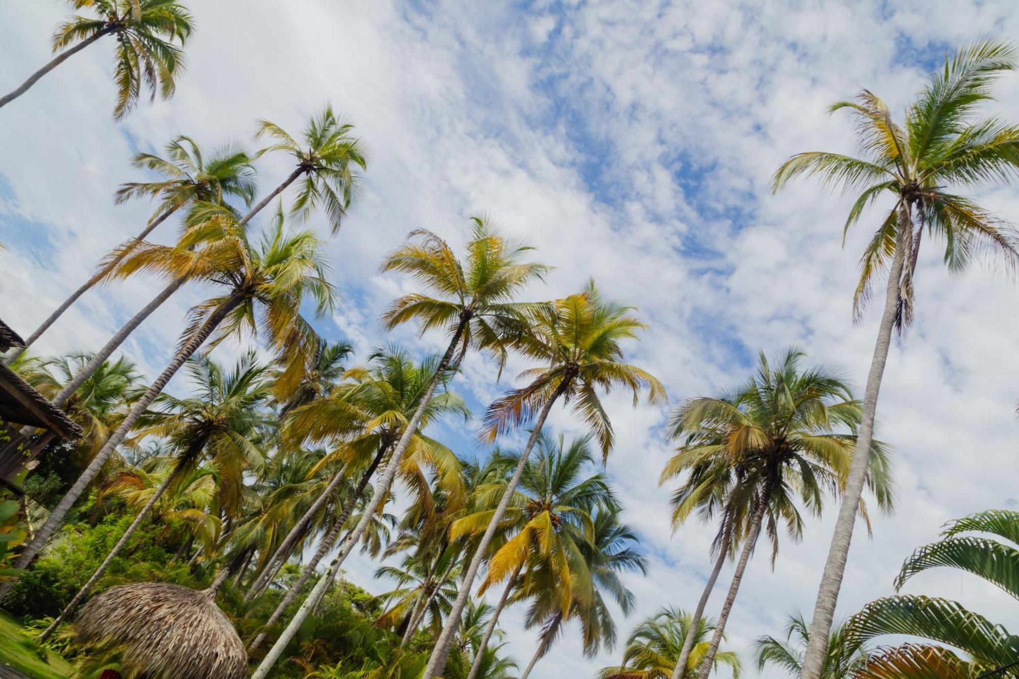 Solea Villa Tropical Santa Marta  Bagian luar foto